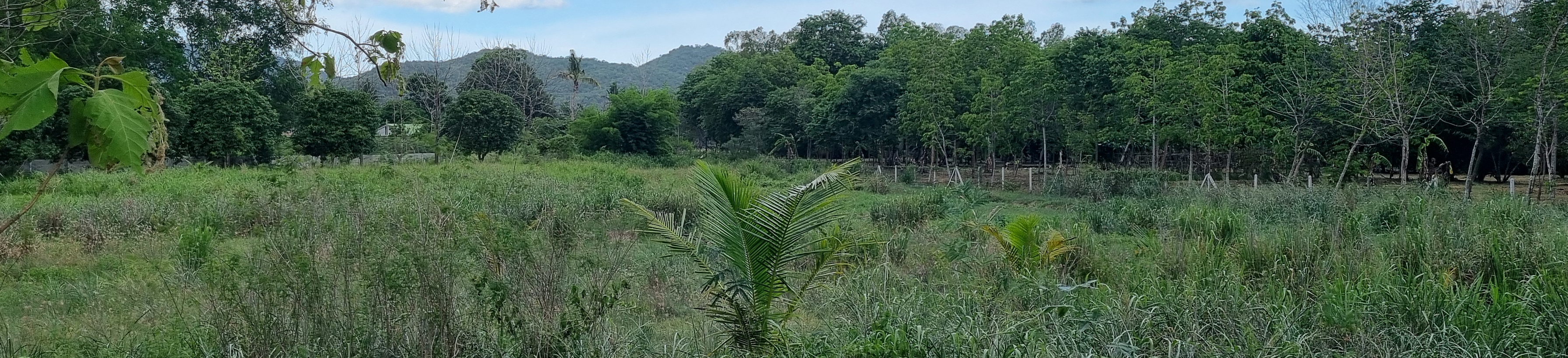 लियो-रिसॉर्ट-द रिवर व्यू